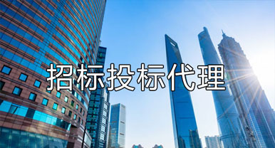 招標(biāo)、投標(biāo)